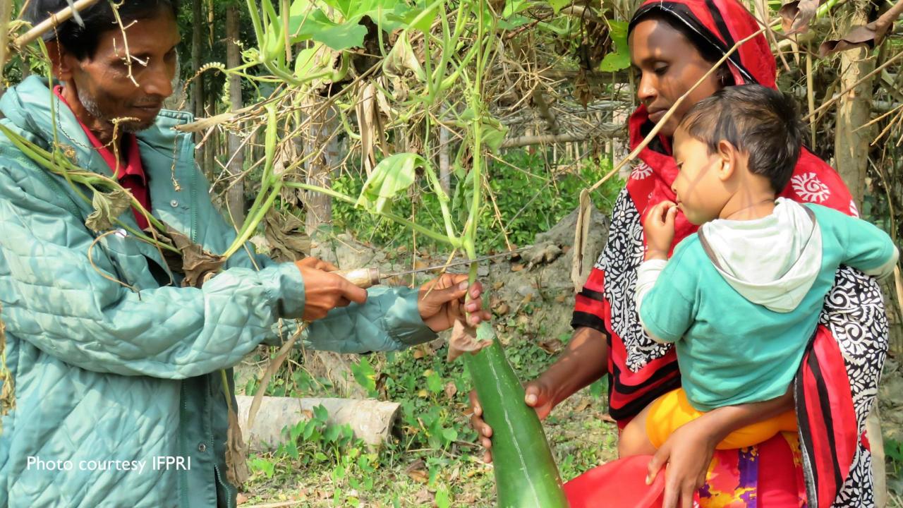 food and nutrition courses in bangladesh